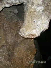 кривче кристална