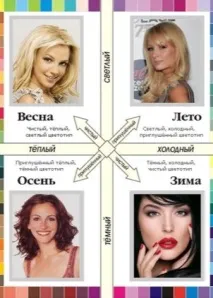 студен определите