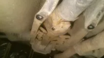 подмяна уплътнението
