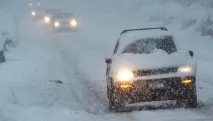захисного