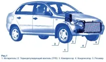 калина