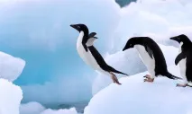 Знайомимося з новим ядром Linux 4 ядром