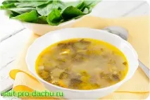 Зелений борщ із щавлем і яйцем простий рецепт з фотографіями щавлем
