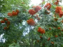 списание култура
