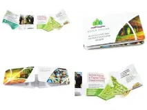 zet-card zet-card