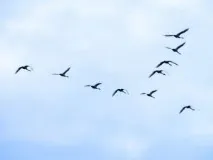 списание култура