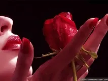 ЖІНОЧИЙ РОМАН із собою або ЯК ПОЛЮБИТИ СЕБЕ -, ПО ТОМУ СТОРОНУ СВІТУ себе