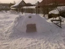 професионални зимна