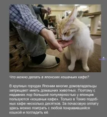 много