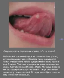 намерите