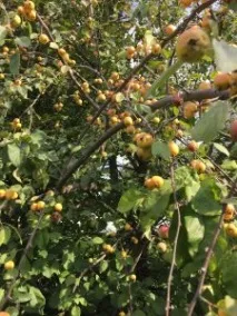 култура списание