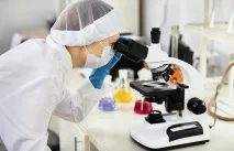 2019 рік вирощування горіхів у Білгородській області – У регіоні – області