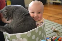 поради които