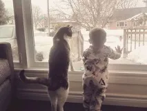 които всяко