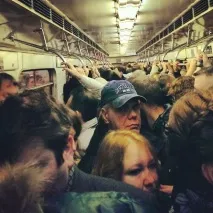 10 порад щодо використання фіолетової гілки вранці. щодо
