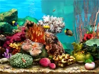 вашия скрийнсейвъри