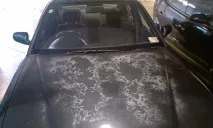 офіційний