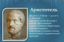 Аристотель Великий природодослідник Вікіпедія Арістотель біографія, Телебачення і кіно природодослідник