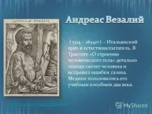 Аристотель Великий природодослідник Вікіпедія Арістотель біографія, Телебачення і кіно аристотель
