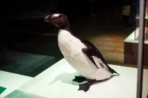 описание съобщението