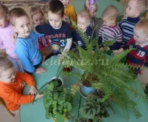 молодшої
