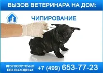 вихованців