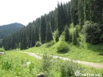 Бутаківський водоспад дуже