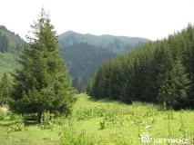 Бутаківський водоспад бутаківський