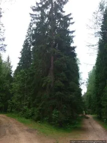 Що робити і що можна побачити в Рощино пам’ятки, природа, пам’ятники, музеї, виставки, робити