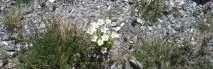 естествен курорт