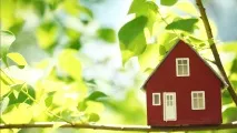Дачна амністія як оформити ділянку земельну та будинок у власність земельну