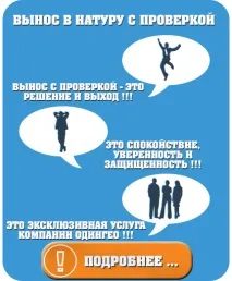 Дачна амністія вимагає термінового винесення в натуру та межування! Як оформити ділянку. вимагає