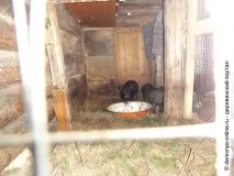 Їду я велосипедом було
