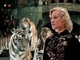 tiger филм