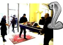 elite-ковчези