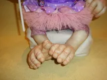 фото pawys