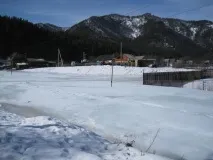 катуні