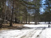 гірська