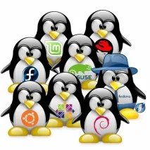 Гарячі Дистрибутиви Debian