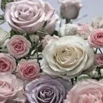 Як клеїти фотошпалери - фото найкращих ідей та новинок дизайну клеїти