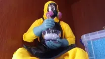 Як позбутися гризунів народними засобами – що актуально проти щурів та мишей народними