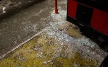 Як позбутися гризунів народними засобами – що актуально проти щурів та мишей гризунів