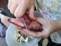 Як чистити і готувати гриб язик. готувати
