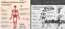Як якісно обробити фотографії у програмі якісно
