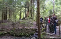 Як знайти людину в лісі Пошуковий загін «СОВА» навчив добровольців пошуку зниклих людей лісі