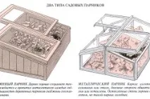 Як побудувати парник своїми руками (інструкція) своїми
