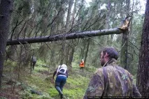 Як знайти людину в лісі Пошуковий загін «СОВА» навчив добровольців пошуку зниклих людей лісі