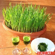 След като След като