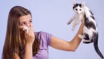 котешката алергия