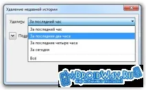 Як видалити історію відвідування сайтів (Google Chrome історію